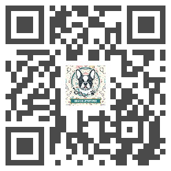 QR WhatsApp